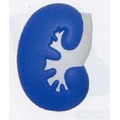 Medical Series Kidney Stress Reliever Toys